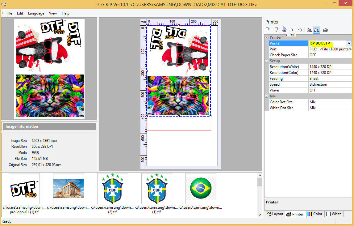 ACRORIP version 10.xx, works for DTF and UV Printers Software with Onboarding Support